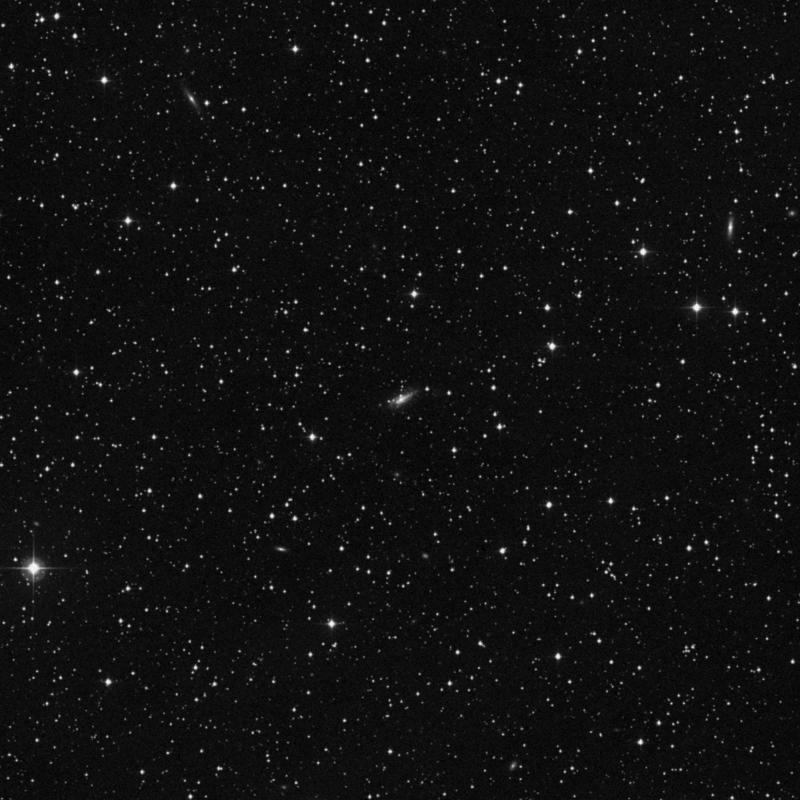 Image of NGC 1334 - Spiral Galaxy in Perseus star