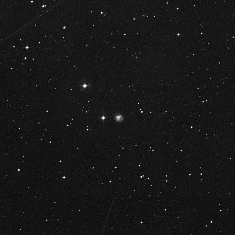 Image of NGC 1338 - Intermediate Spiral Galaxy in Eridanus star
