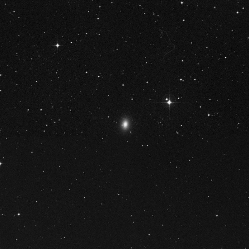 Image of NGC 1339 - Elliptical Galaxy in Fornax star