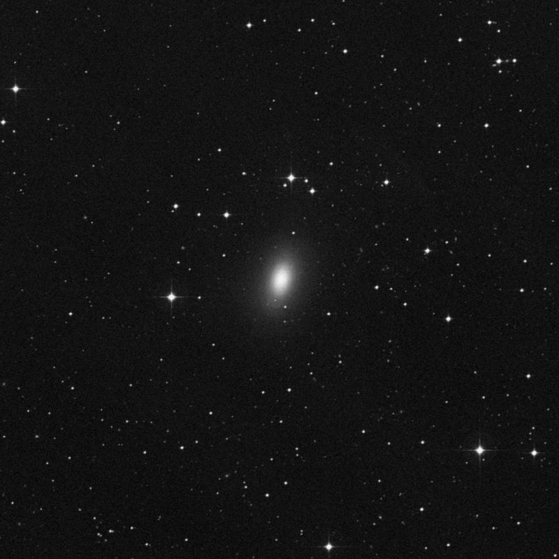 Image of NGC 1340 - Elliptical Galaxy in Fornax star