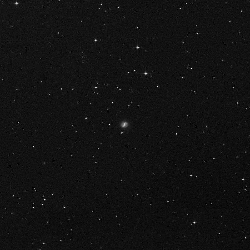 Image of NGC 1341 - Spiral Galaxy in Fornax star
