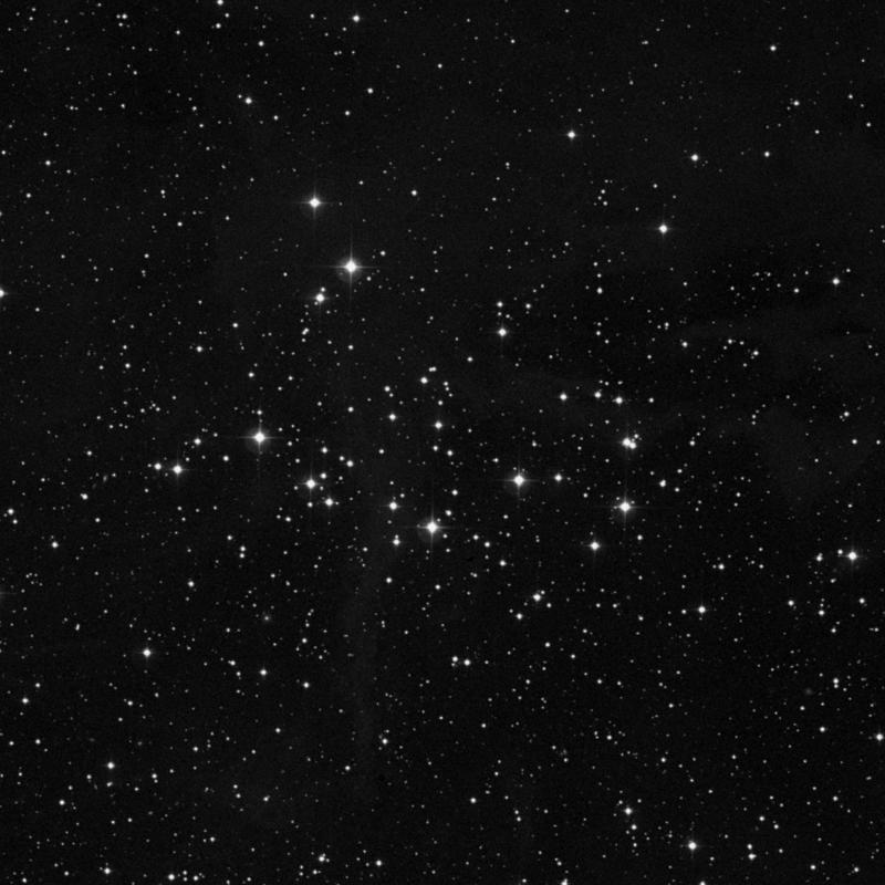 Image of NGC 1342 - Open Cluster in Perseus star