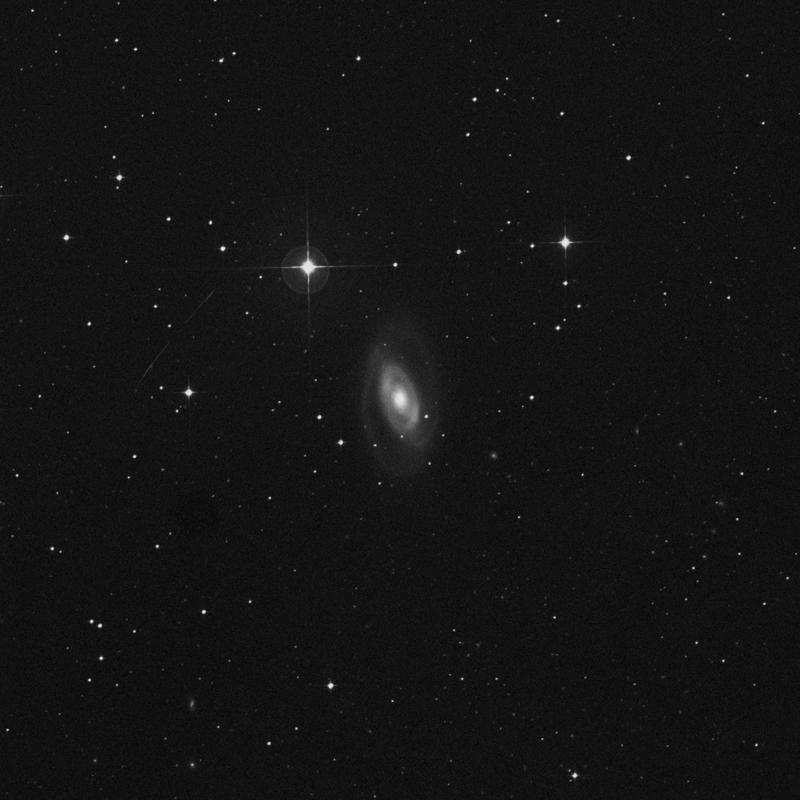 Image of NGC 1350 - Spiral Galaxy in Fornax star