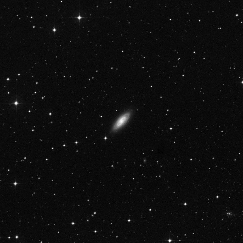 Image of NGC 1353 - Spiral Galaxy in Eridanus star