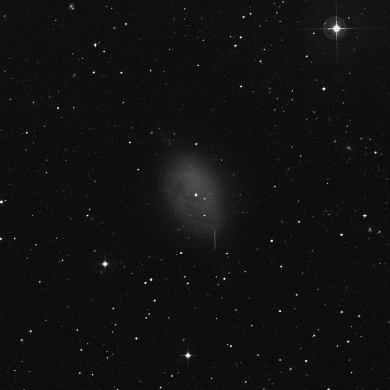Image of NGC 1360 - Planetary Nebula in Fornax star