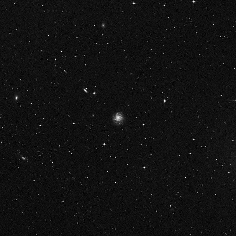 Image of NGC 1376 - Spiral Galaxy in Eridanus star