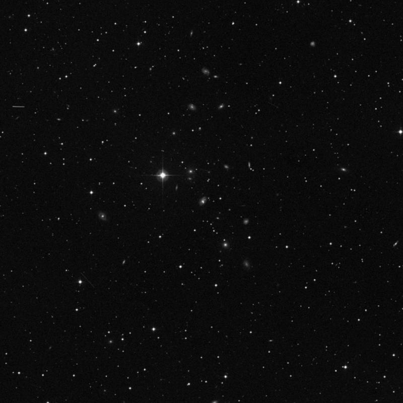 Image of NGC 1384 - Galaxy in Taurus star