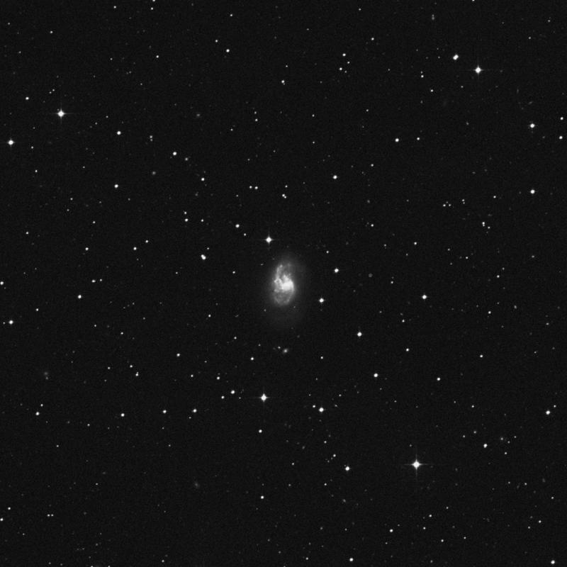 Image of NGC 1385 - Spiral Galaxy in Fornax star