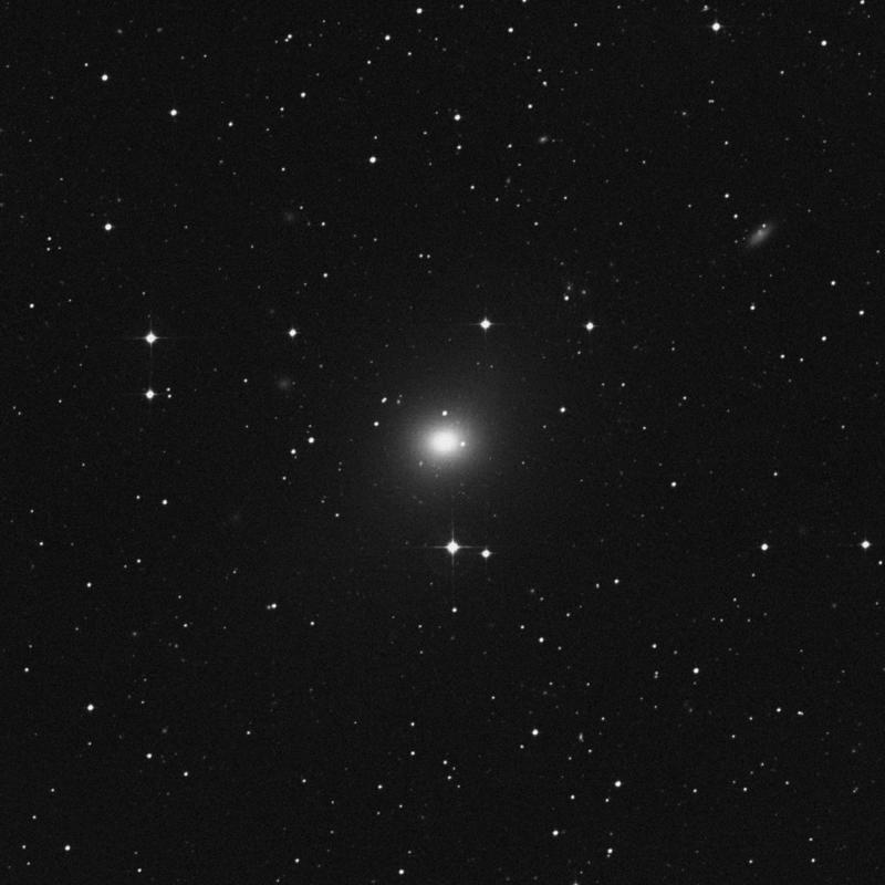 Image of NGC 1395 - Elliptical Galaxy in Eridanus star