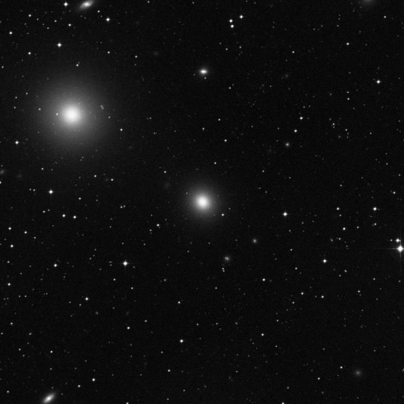 Image of NGC 1400 - Elliptical Galaxy in Eridanus star