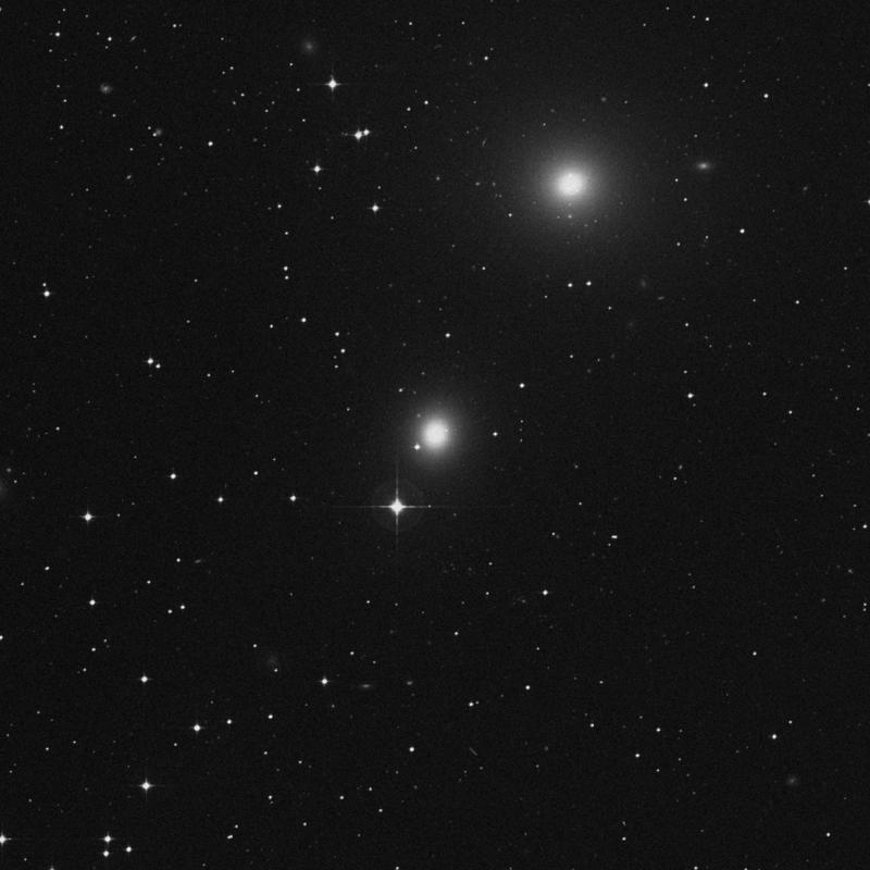 Image of NGC 1404 - Elliptical Galaxy in Fornax star