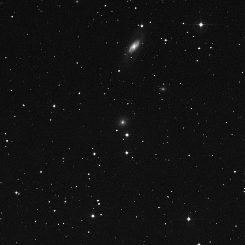 Image of NGC 1416 - Elliptical Galaxy in Eridanus star