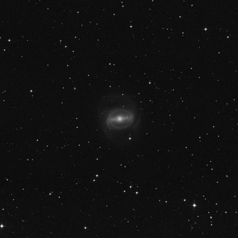 Image of NGC 1433 - Barred Spiral Galaxy in Horologium star