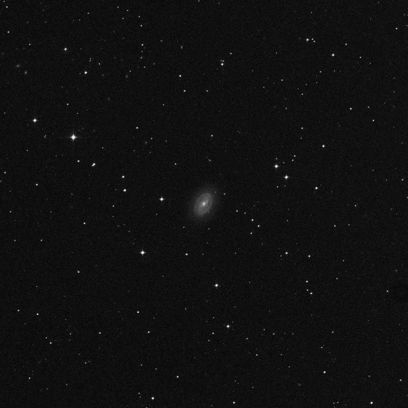 Image of NGC 1436 - Spiral Galaxy in Eridanus star
