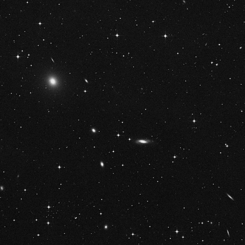 Image of NGC 1443 - Star in Eridanus star