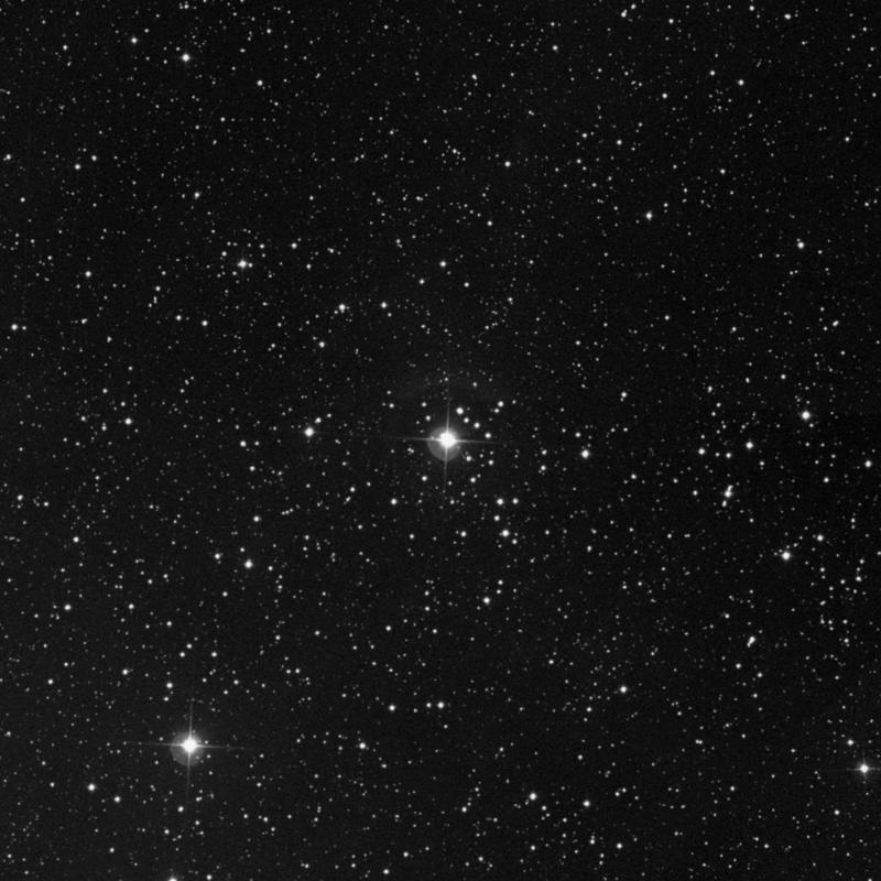 Image of NGC 1444 - Open Cluster in Perseus star