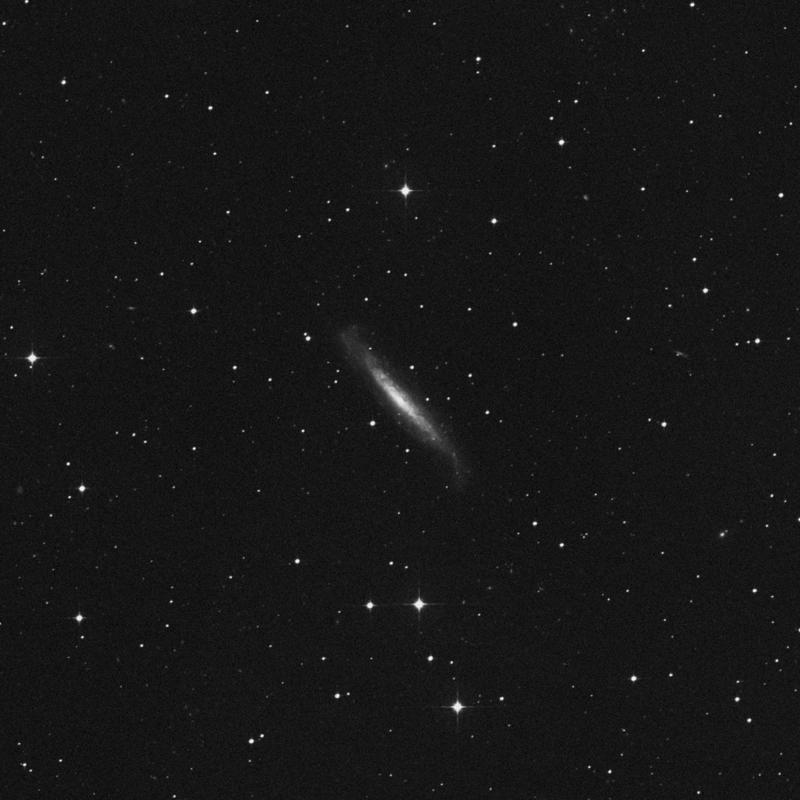 Image of NGC 1448 - Spiral Galaxy in Horologium star