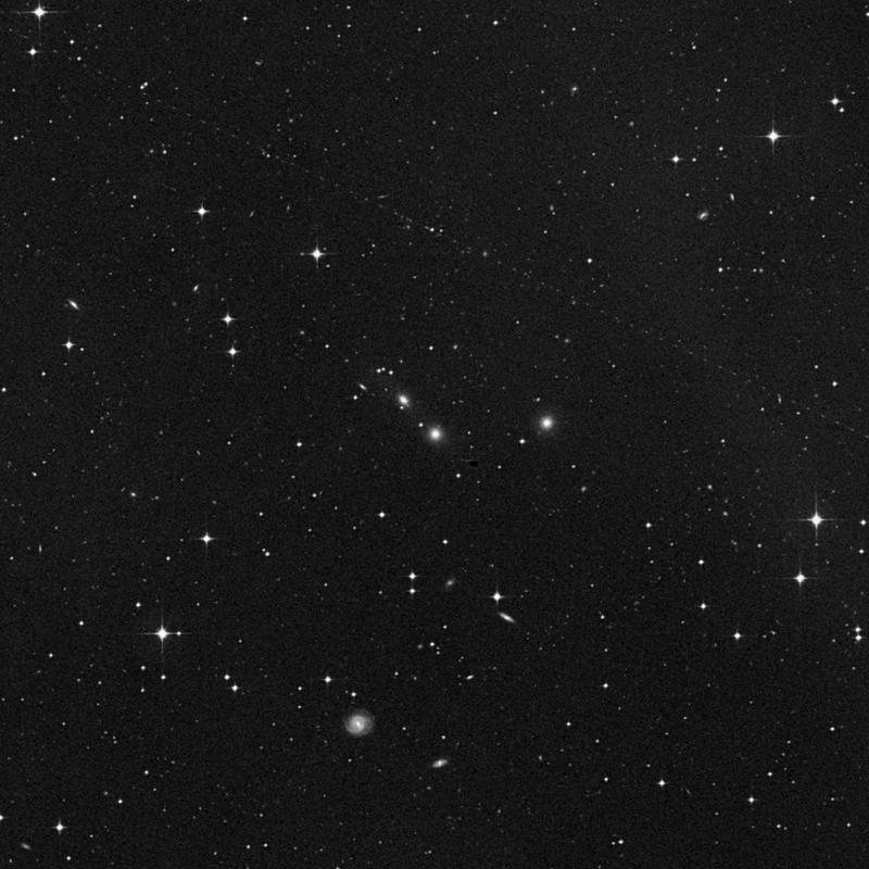 Image of NGC 1477 - Elliptical Galaxy in Eridanus star