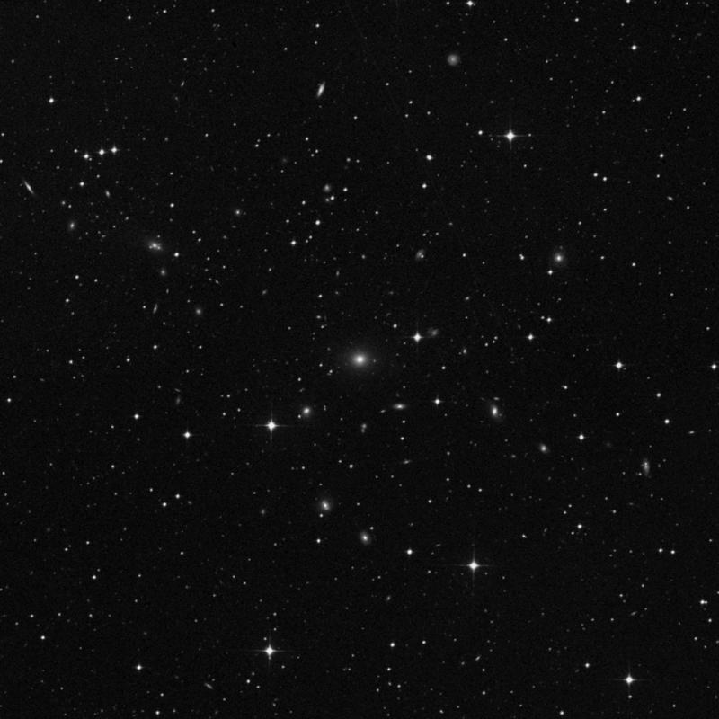 Image of NGC 1500 - Elliptical Galaxy in Dorado star