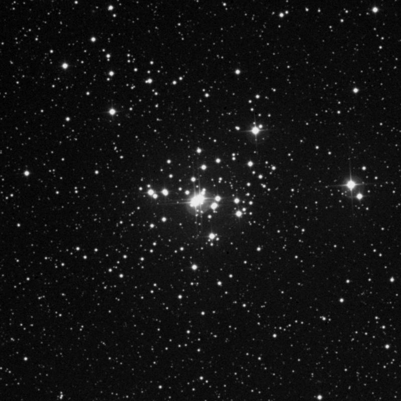 Image of NGC 1502 - Open Cluster in Camelopardalis star