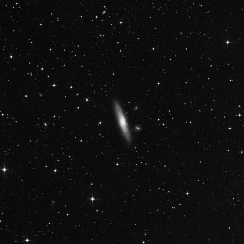 Image of NGC 1515 - Intermediate Spiral Galaxy in Dorado star