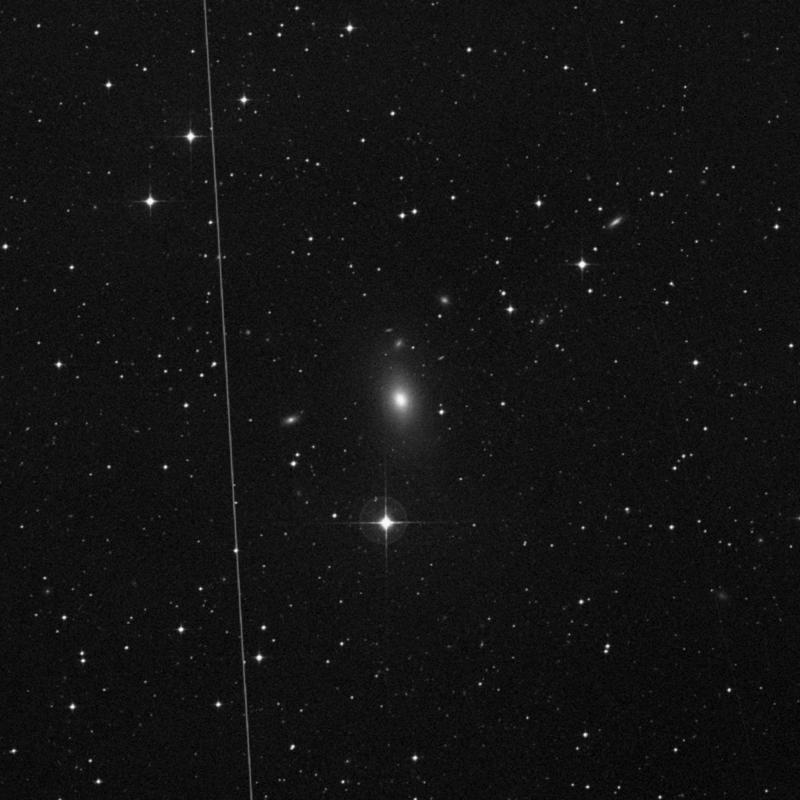 Image of NGC 1521 - Elliptical Galaxy in Eridanus star