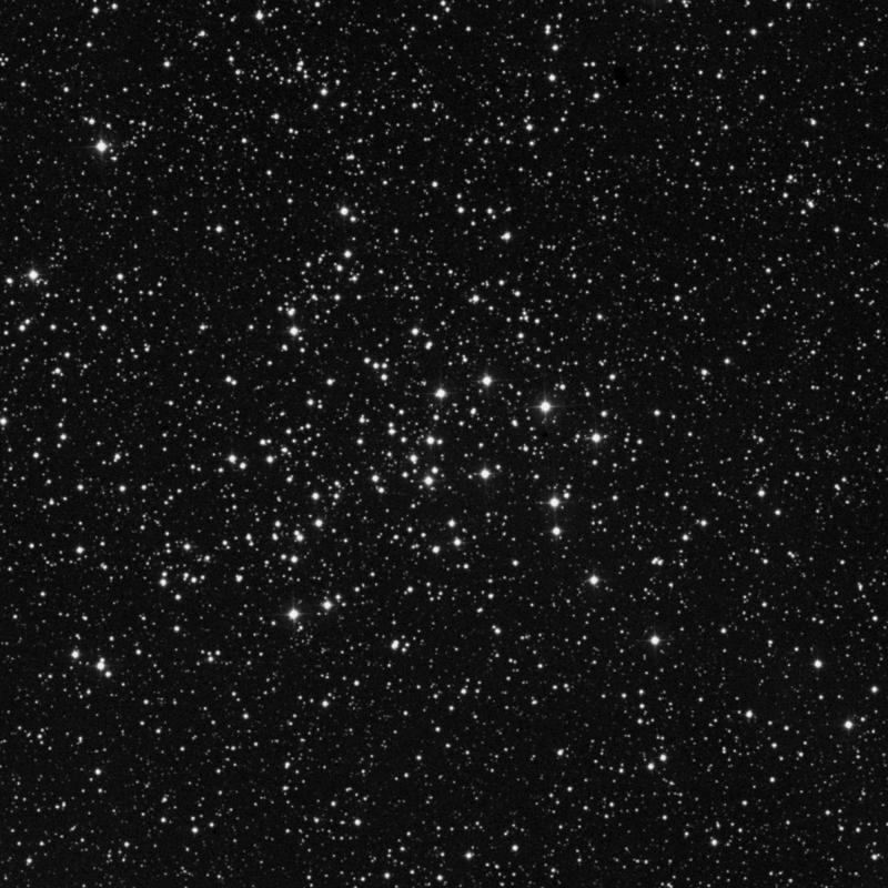 Image of NGC 1528 - Open Cluster in Perseus star