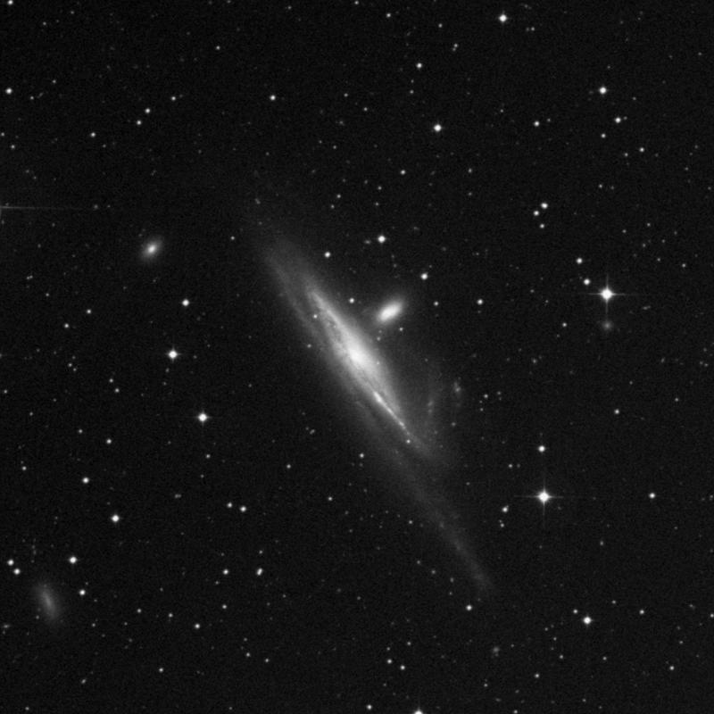 Image of NGC 1532 - Barred Spiral Galaxy in Eridanus star