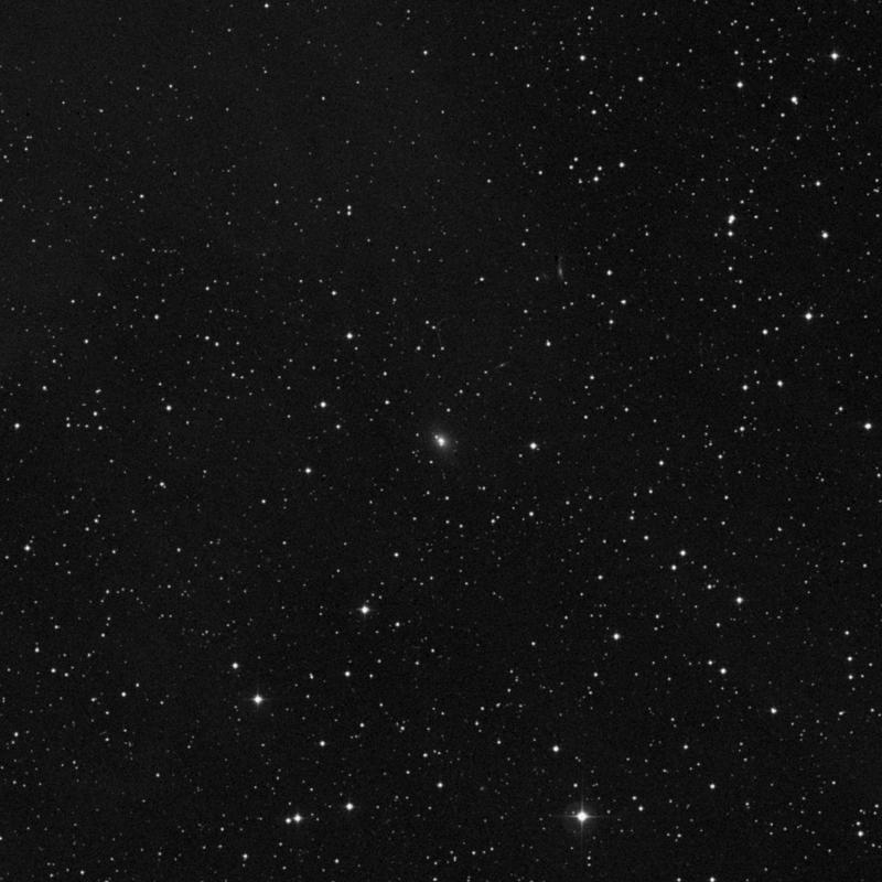Image of NGC 1539 - Elliptical Galaxy in Taurus star