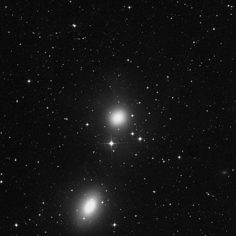 Image of NGC 1549 - Elliptical Galaxy in Dorado star