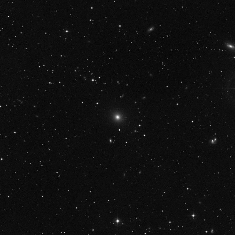 Image of NGC 1550 - Elliptical Galaxy in Taurus star
