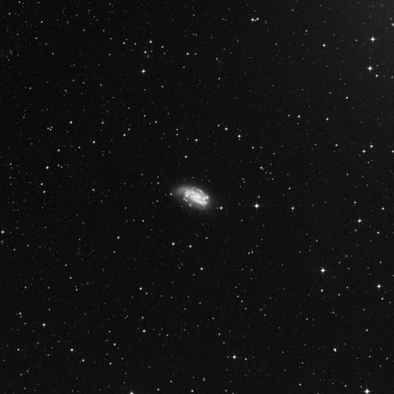 Image of NGC 1559 - Galaxy in Reticulum star