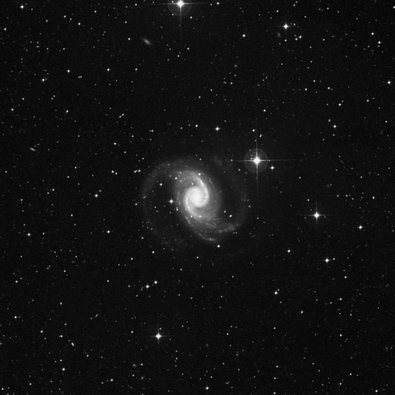 Image of NGC 1566 - Intermediate Spiral Galaxy in Dorado star