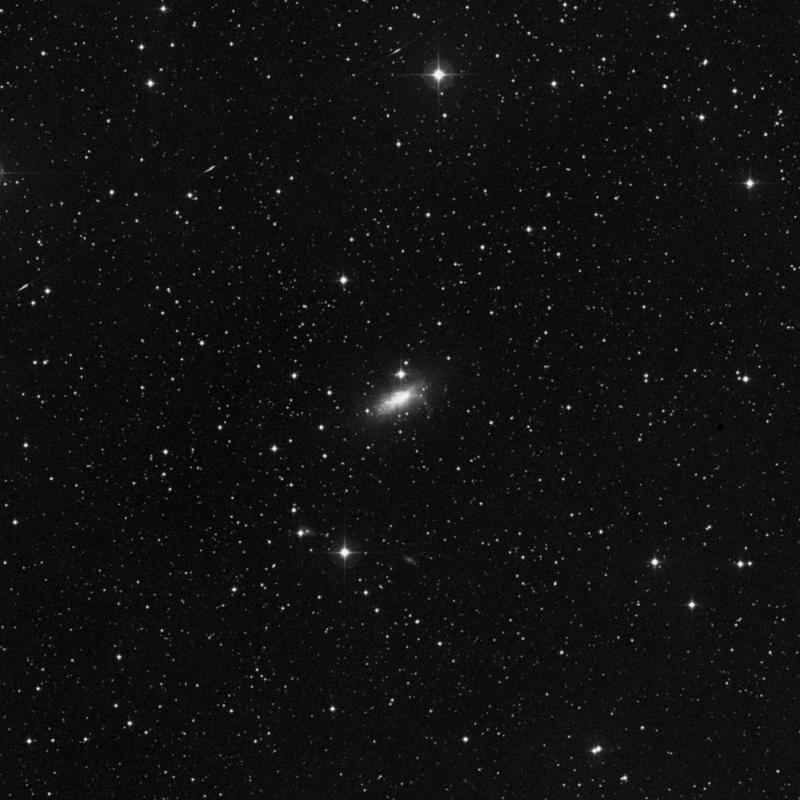Image of NGC 1569 - Irregular Galaxy in Camelopardalis star
