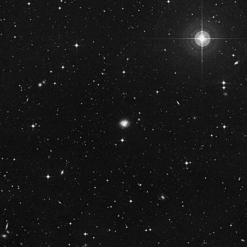 Image of NGC 1575 - Intermediate Spiral Galaxy in Eridanus star