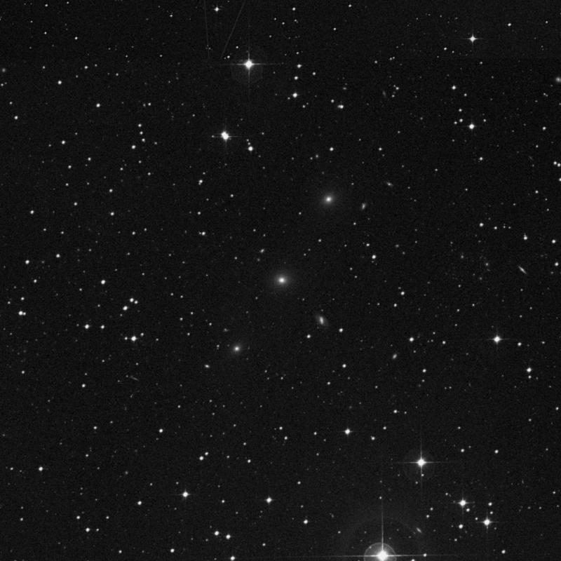 Image of NGC 1583 - Elliptical Galaxy in Eridanus star