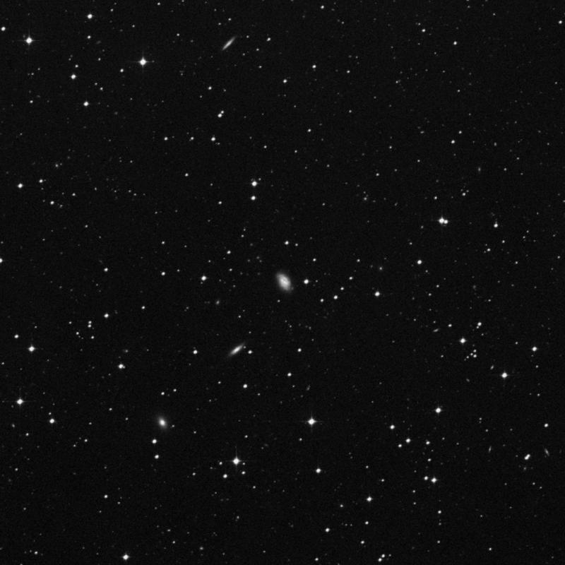 Image of NGC 1591 - Barred Spiral Galaxy in Eridanus star
