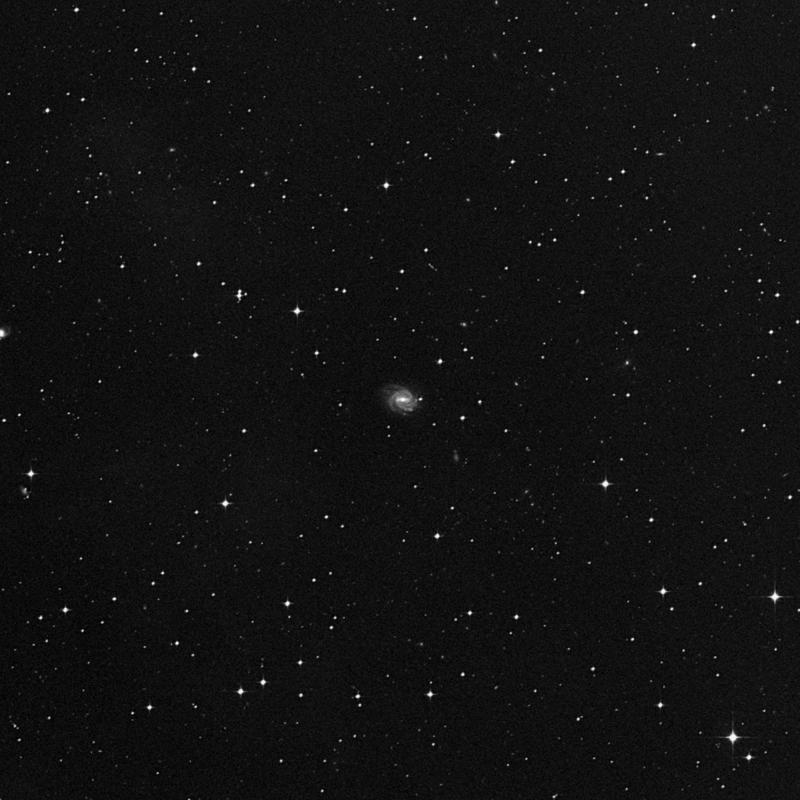 Image of NGC 1594 - Spiral Galaxy in Eridanus star