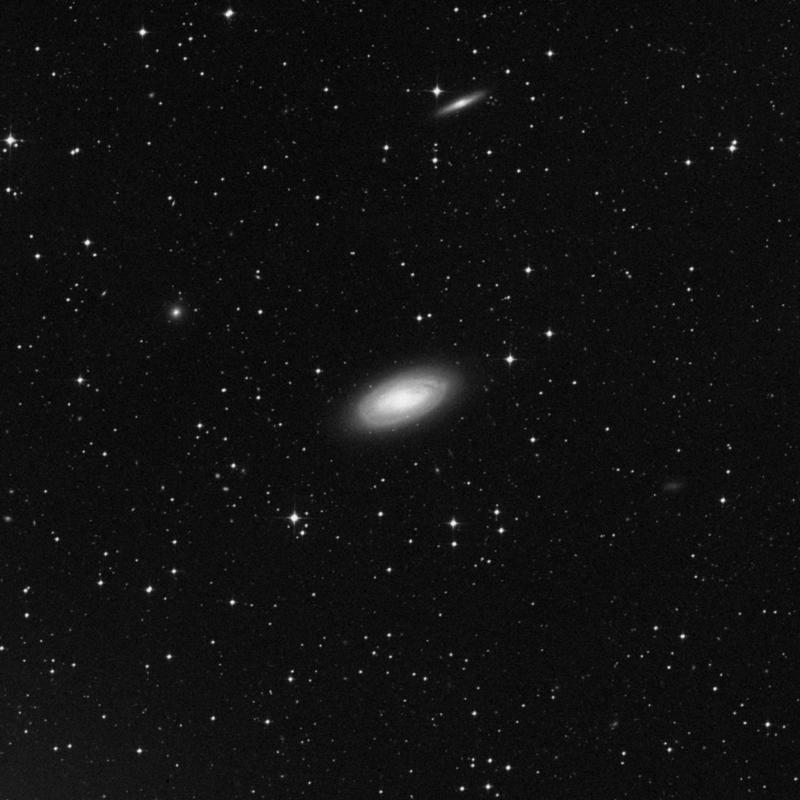 Image of NGC 1617 - Barred Spiral Galaxy in Dorado star