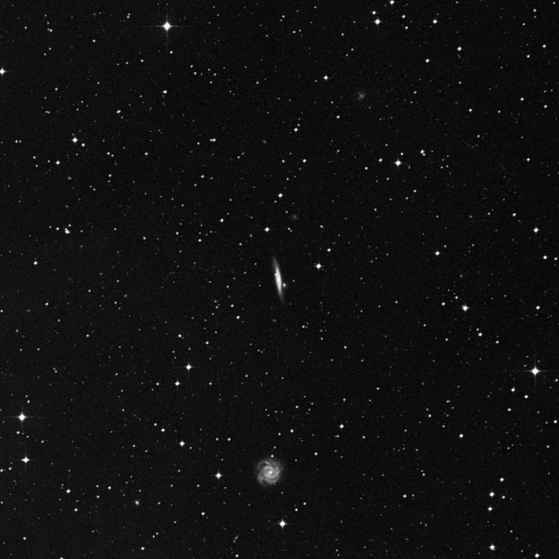 Image of NGC 1628 - Spiral Galaxy in Eridanus star