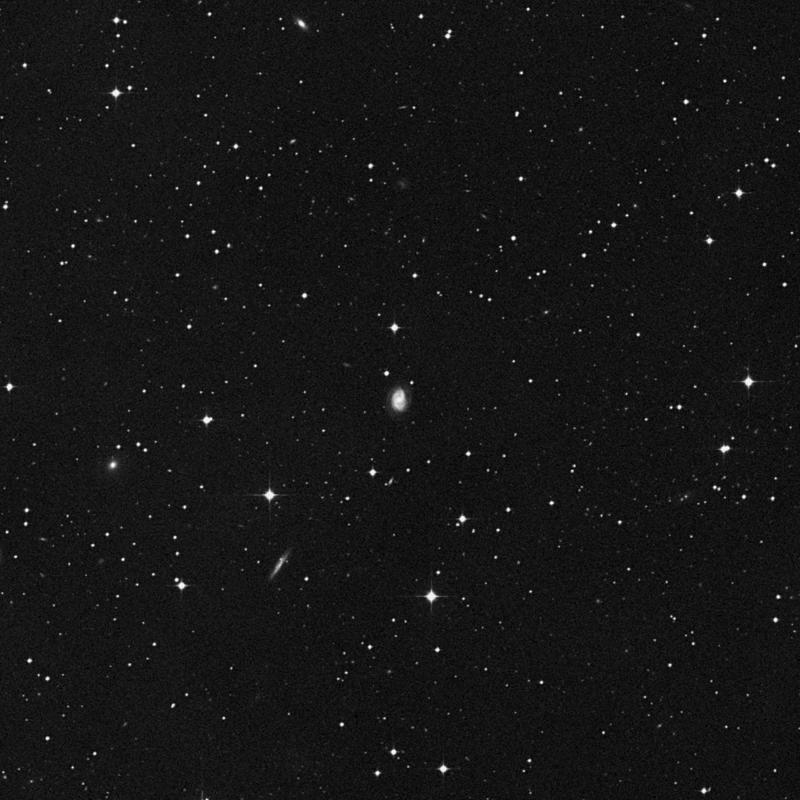 Image of NGC 1636 - Spiral Galaxy in Eridanus star