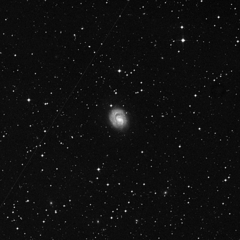 Image of NGC 1637 - Spiral Galaxy in Eridanus star
