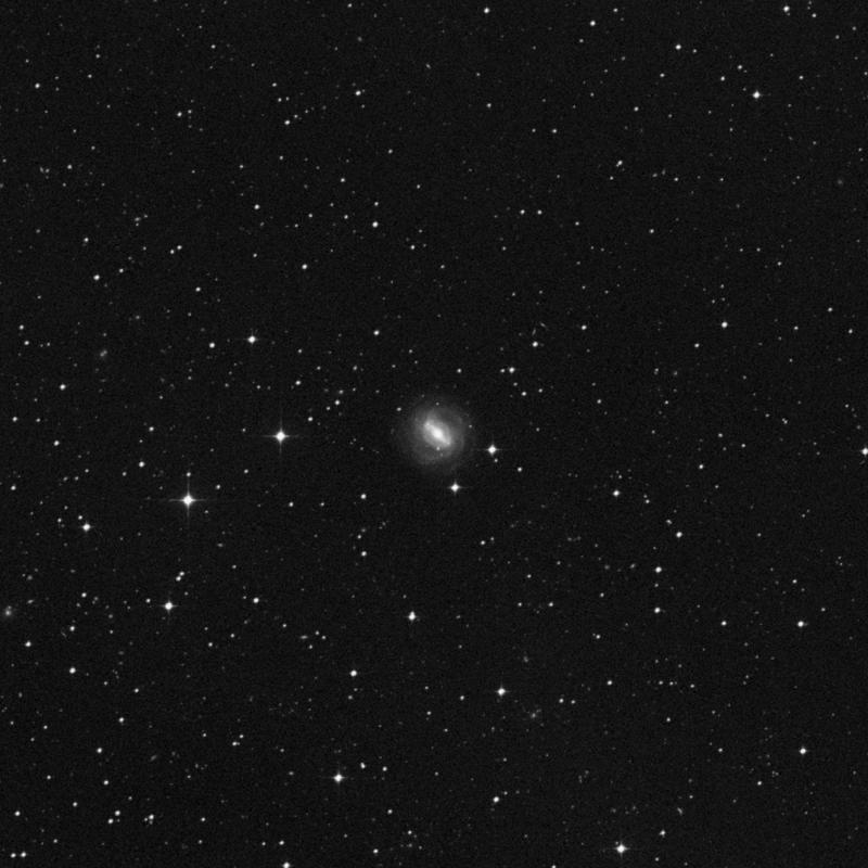 Image of NGC 1640 - Spiral Galaxy in Eridanus star