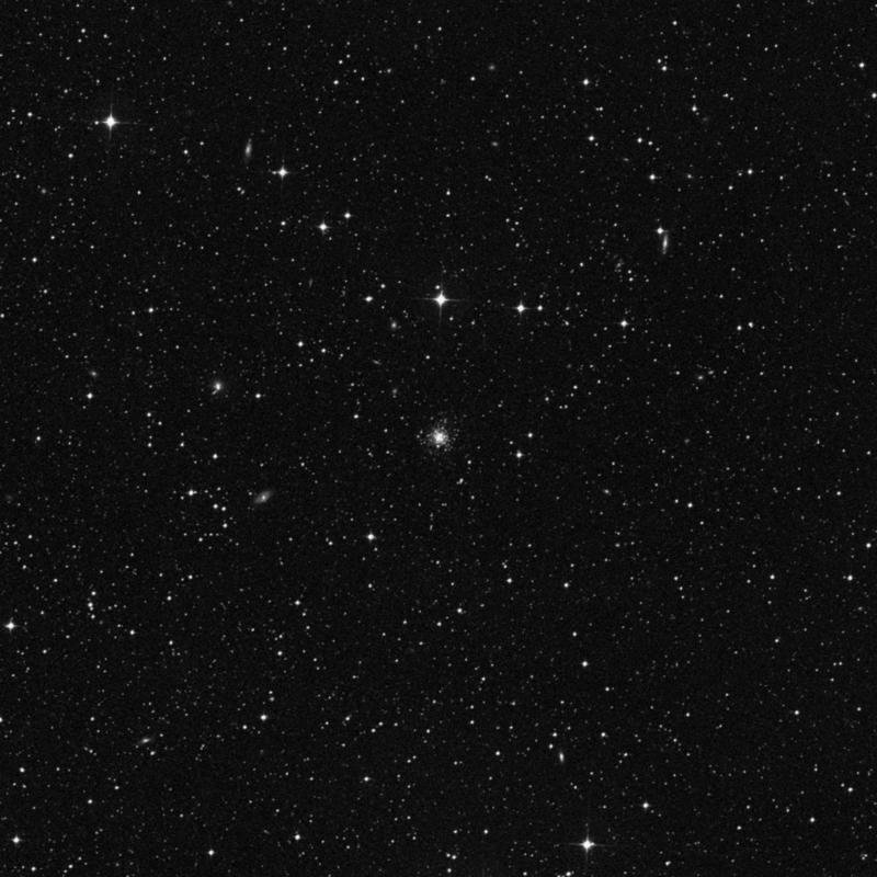 Image of NGC 1644 - Globular Cluster in Dorado star