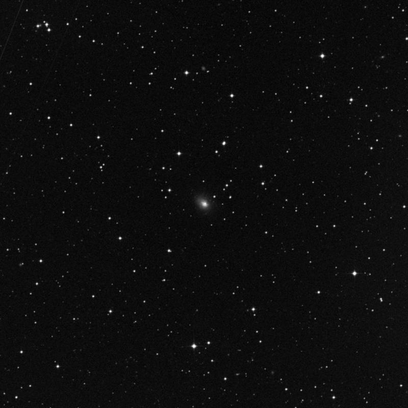 Image of NGC 1705 - Elliptical/Spiral Galaxy in Pictor star