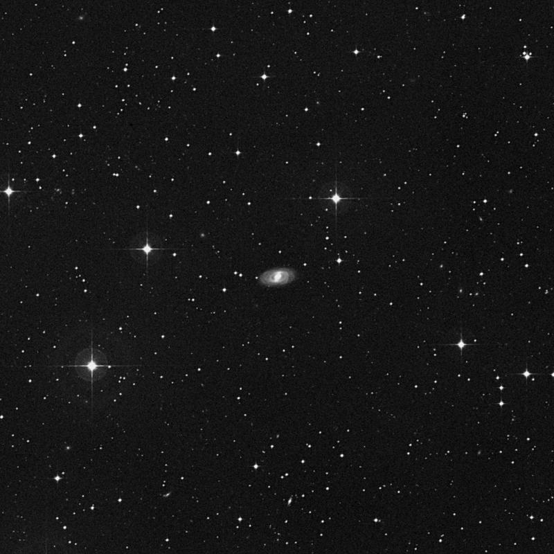 Image of NGC 1730 - Spiral Galaxy in Lepus star
