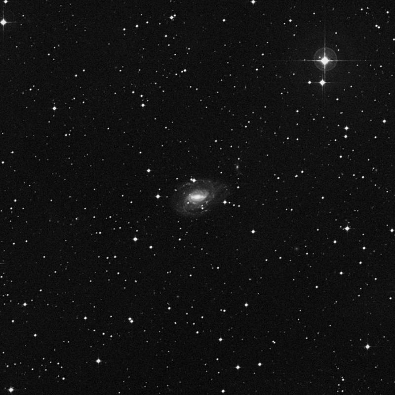 Image of NGC 1784 - Spiral Galaxy in Lepus star