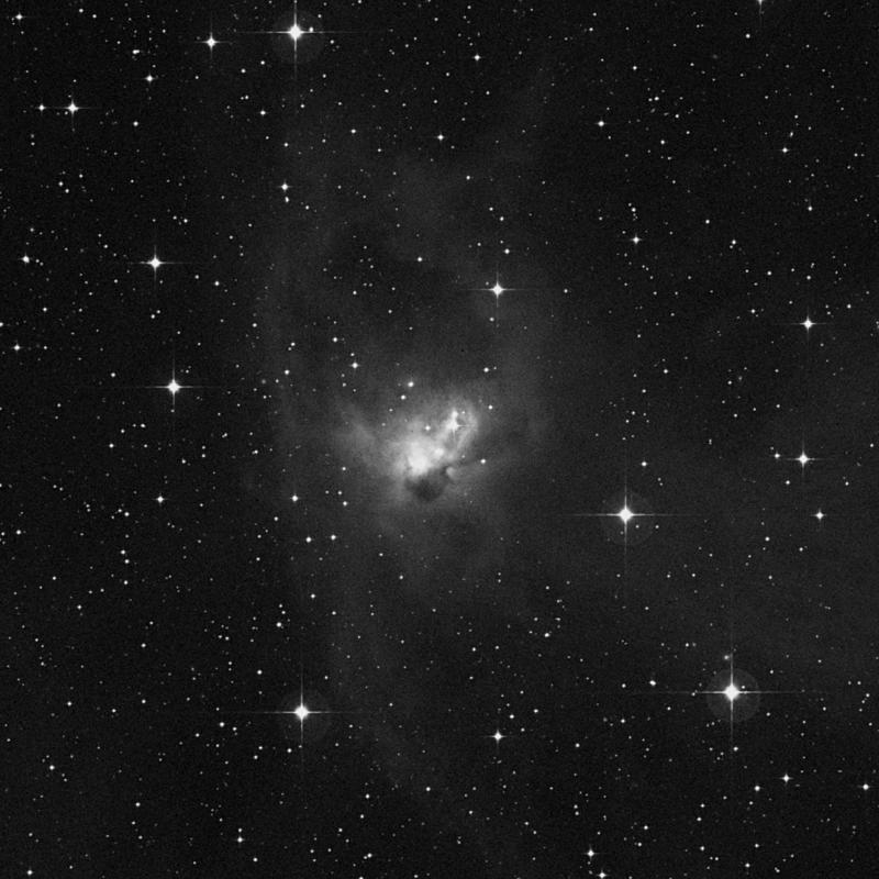 Image of NGC 1788 - Reflection Nebula in Orion star