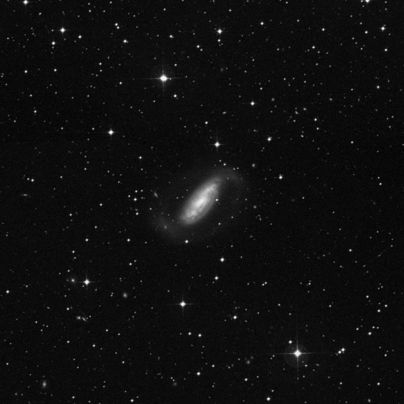 Image of NGC 1808 - Spiral Galaxy in Columba star