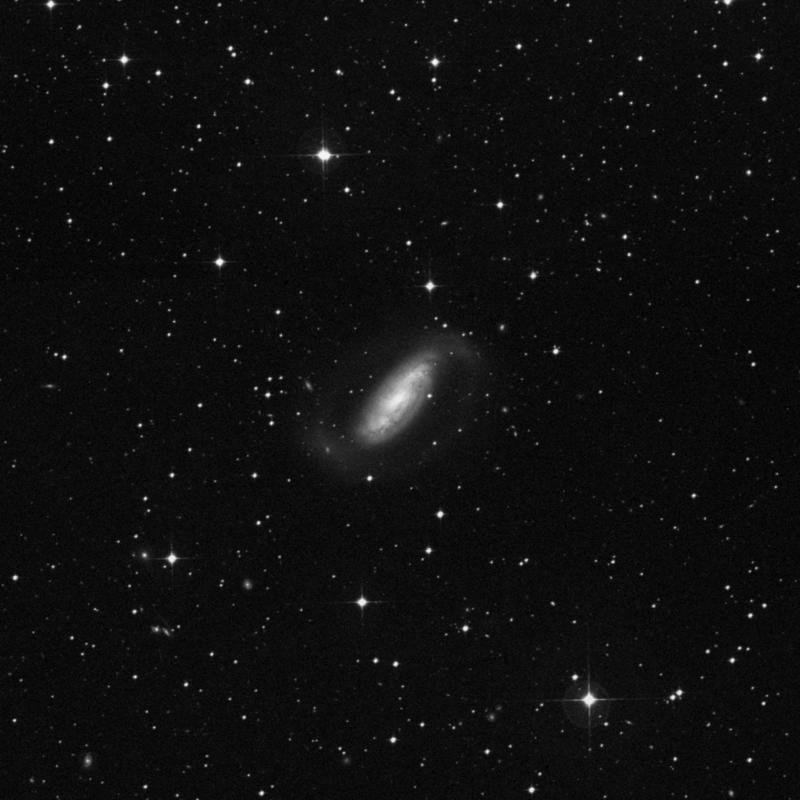 Image of NGC 1808 - Spiral Galaxy in Columba star